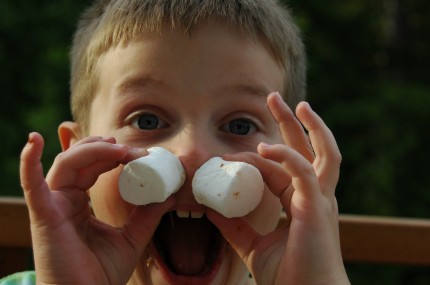 Marshmallow Nose