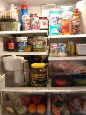 stop screaming im driving fridge 3