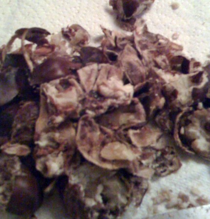 boiled-chestnuts