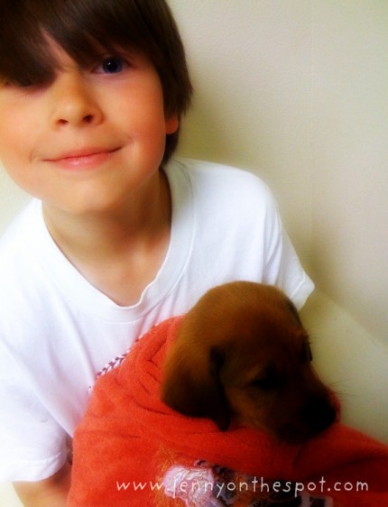 a-boy-and-his-dog