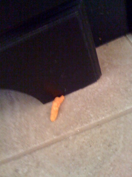 cheetoh on bathroom floor cheetoh on bathroom floor