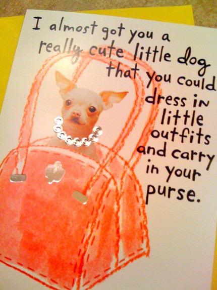 toy dog 1