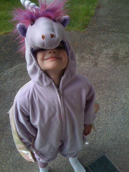 unicorn unicorn