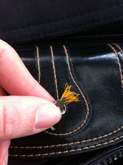 little treasure little treasure