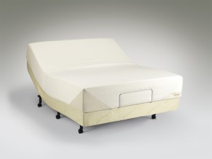 My own TempurPedic My own TempurPedic