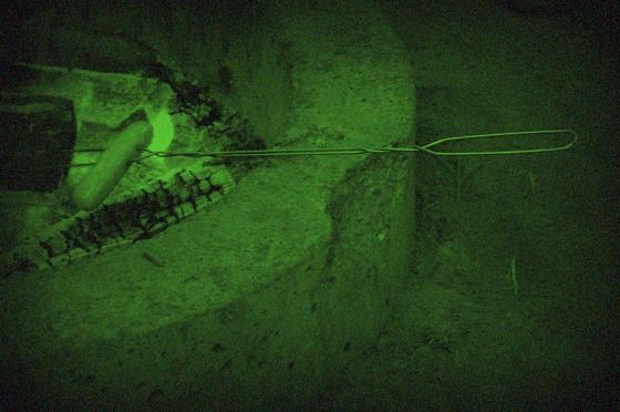 hot dog with night vision hot dog with night vision