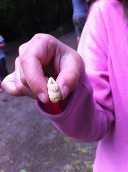 clog-looking peanut clog-looking peanut