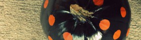 painted polka dot pumpkin