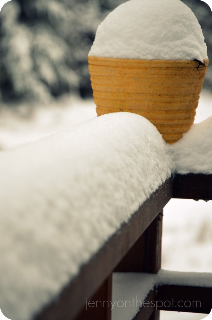 snow on the deck snow on the deck