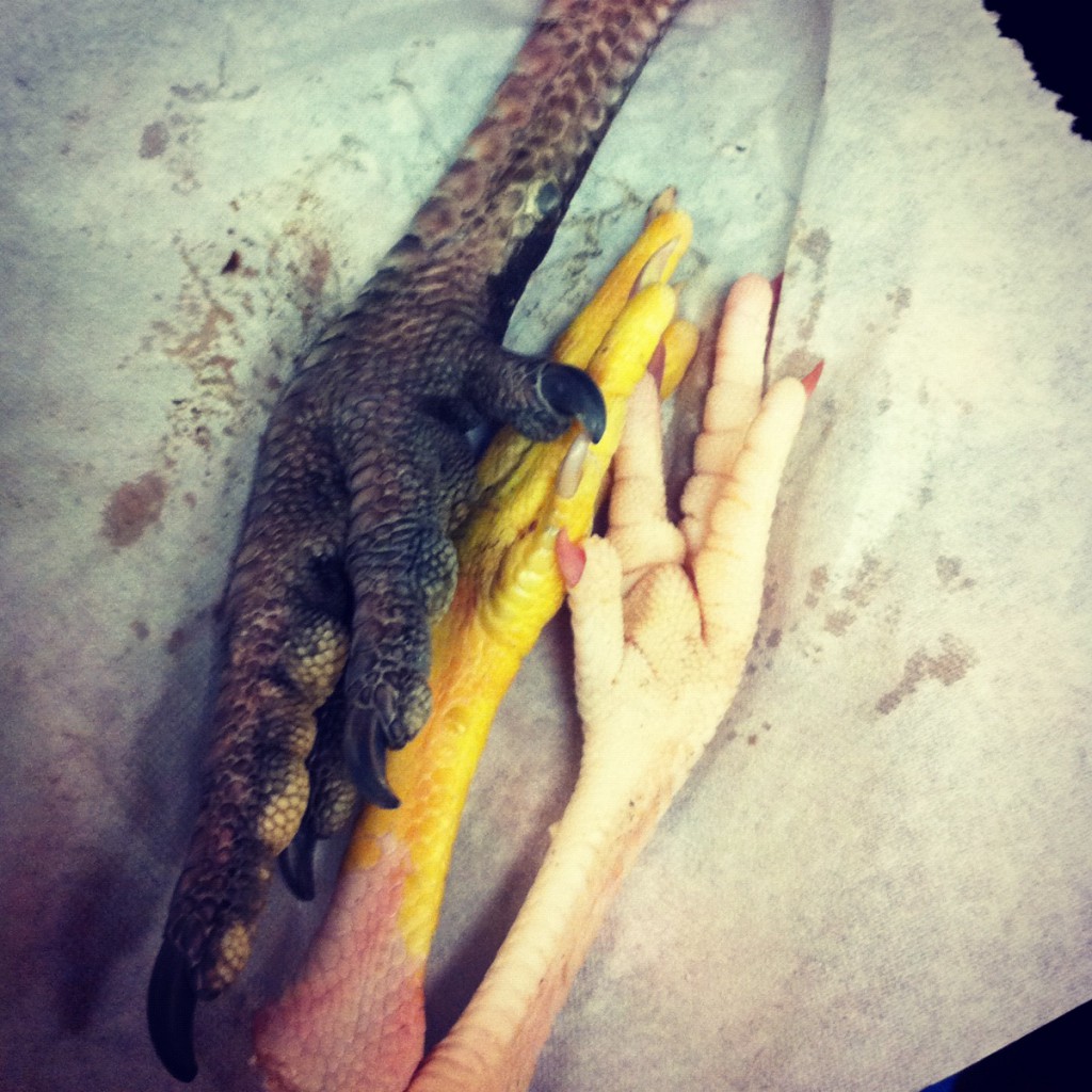 chicken feet