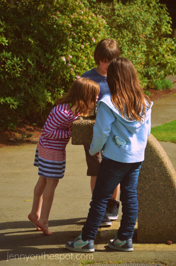 The kids The kids