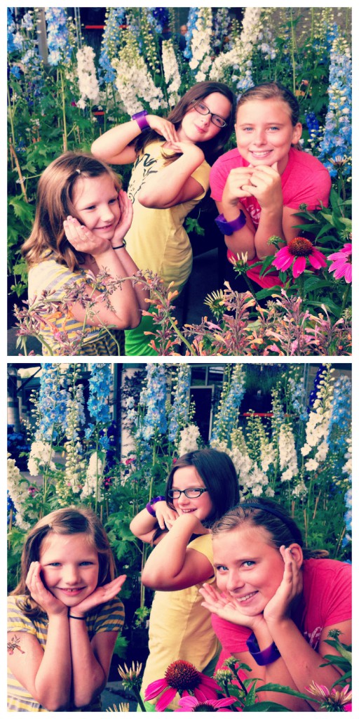 the girls the girls