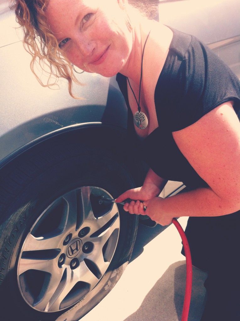 Lisa. Mrs. FIX IT