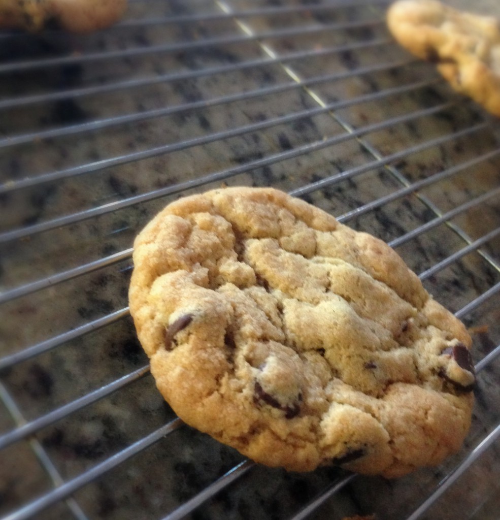 chocolate chip cookie via @jennyonthespot