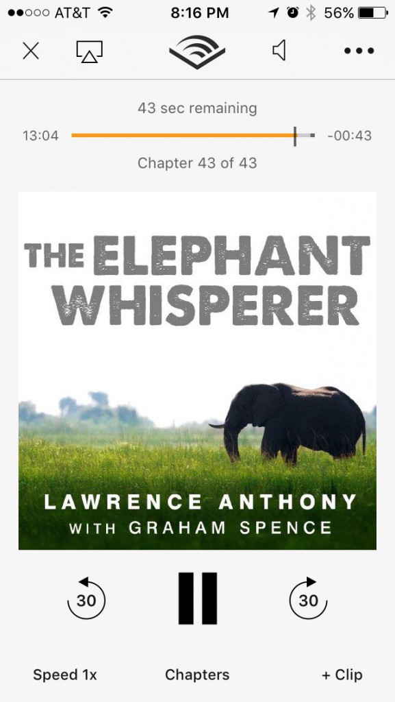 My summer reading list - The Elephant Whisperer